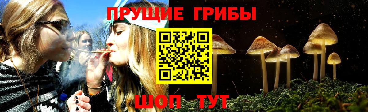 купить наркоту  Вход с VPN  Галлюциногенные грибы прущие грибы  Обь  Галлюциногенные грибы Psilocybine cubensis 